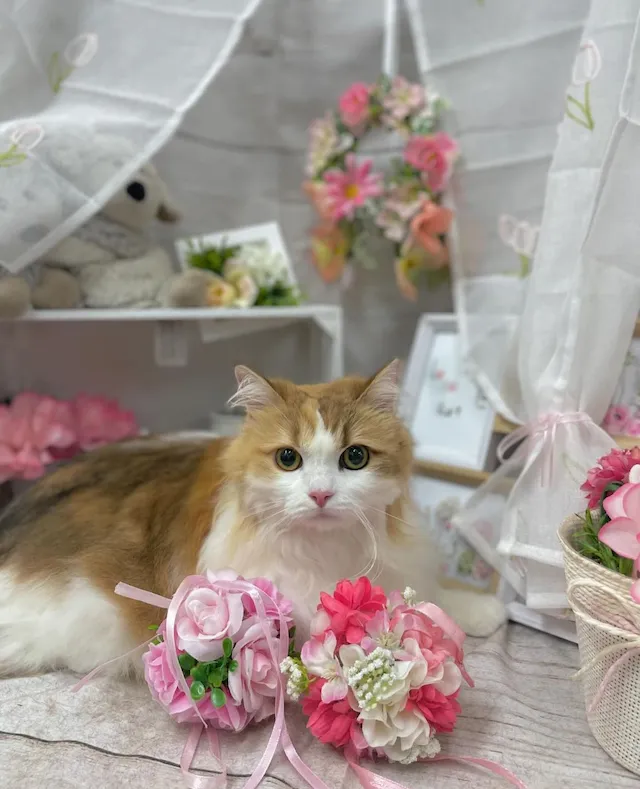 ギャラリー画像 09