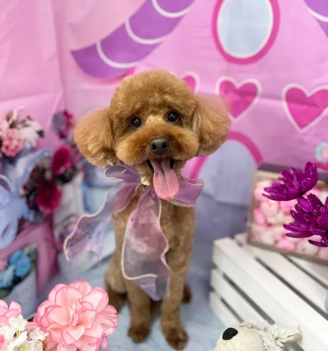 ギャラリー画像 10